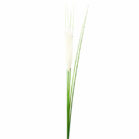 Пампасная трава, 97см